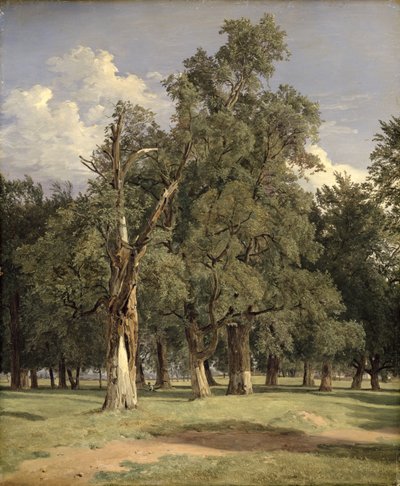 Olmi nel Prater da Ferdinand Georg Waldmuller